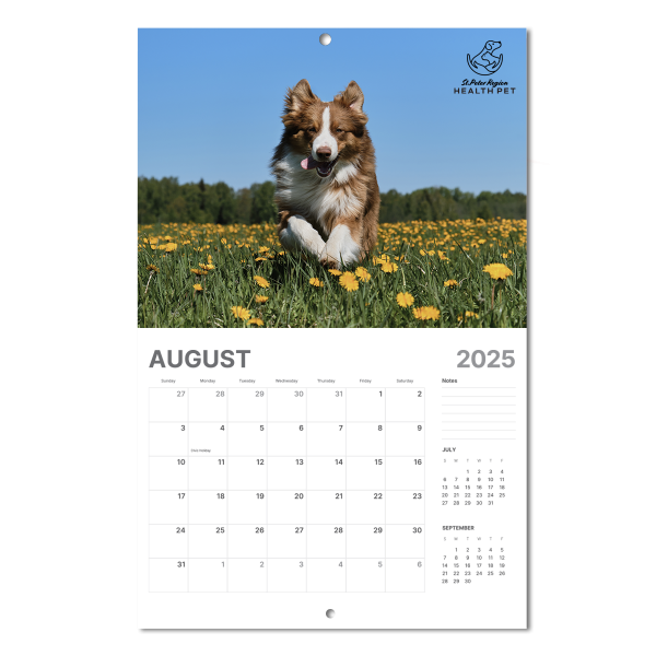 Wall Calendars - Your Pictures